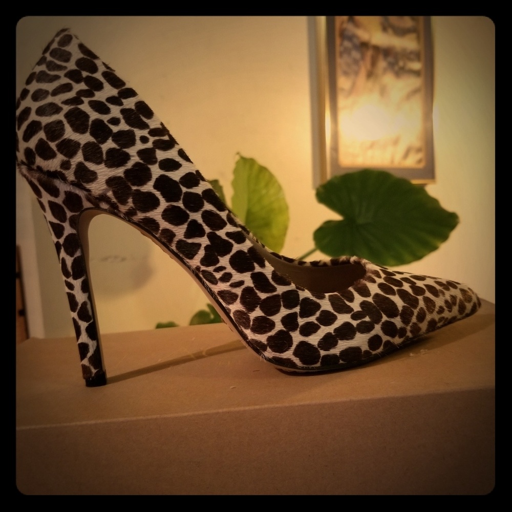Designer Shoe